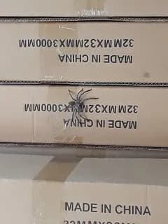 Spider found during a pest control job in Melbourne